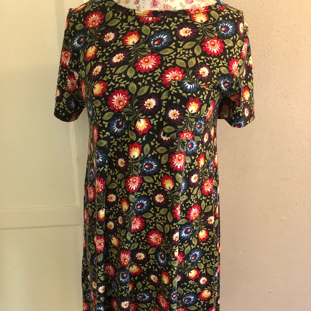 LuLaRoe Carly Dress